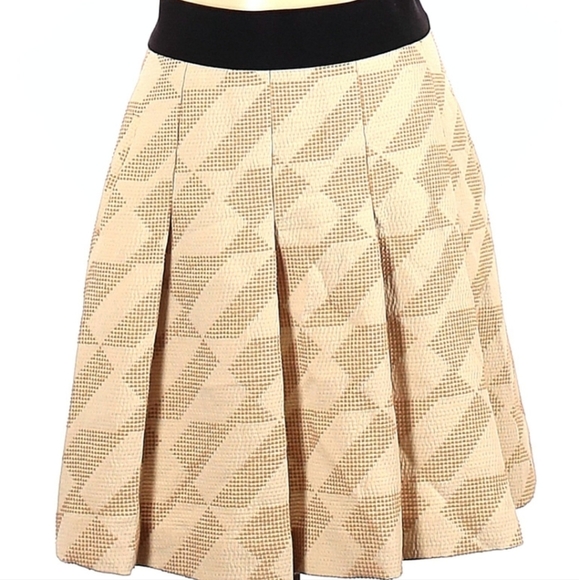 NIC+ZOE Dresses & Skirts - Nic + Zoe Pleated Skirt Sz. 4 Pre-owned